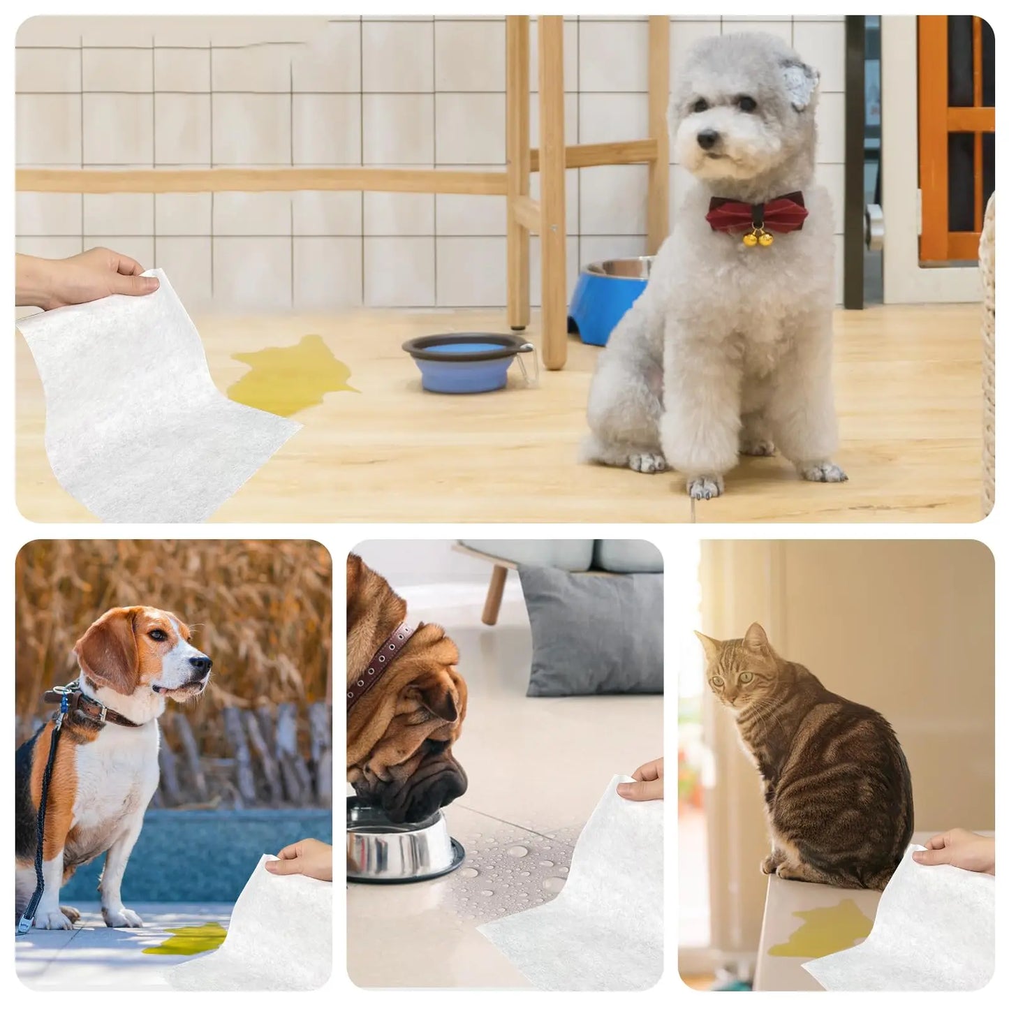 Quick Absorbent Pet Training Pads, 12" x 10", for Effective Urine and Stain Control